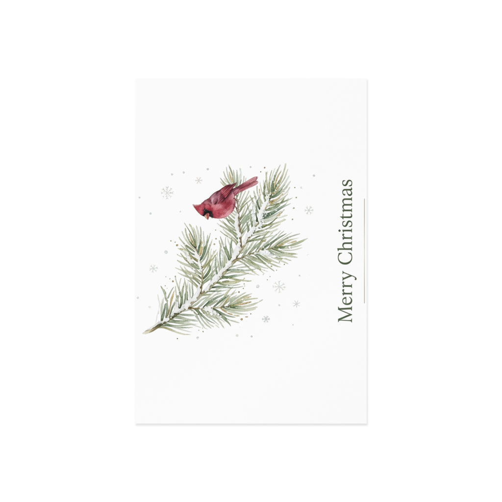 Christmas Cardinal Fine Art Postcards — Holiday Pine Branch Greeting Cards, Glossy 280gsm
