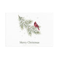 Christmas Cardinal Fine Art Postcards — Holiday Pine Branch Greeting Cards, Glossy 280gsm