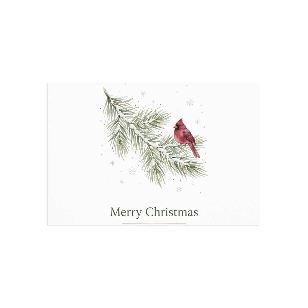 Christmas Cardinal Fine Art Postcards — Holiday Pine Branch Greeting Cards, Glossy 280gsm